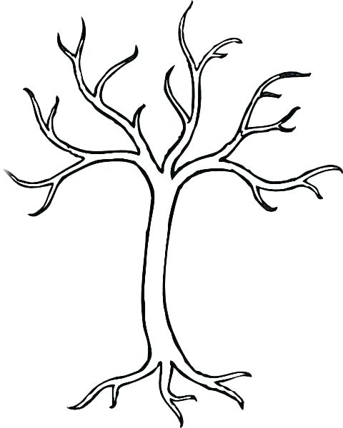 Oak Tree Outline Drawing At Paintingvalley Com Explore