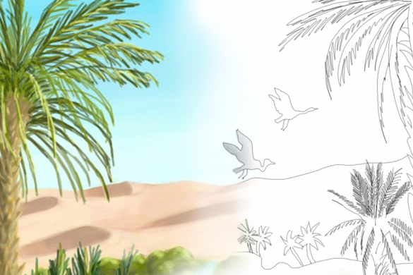 585x390  - Oasis Drawing