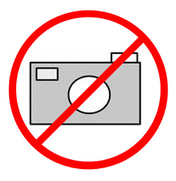 250x257 schipper painting - Oasis Drawing