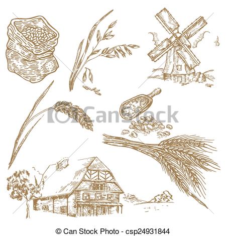 450x470 Oats Clipart And Stock Illustrations Oats Vector - Oats Drawing