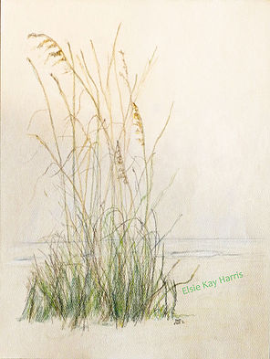 296x393 Sea Oats On The Sand Drawings - Oats Drawing
