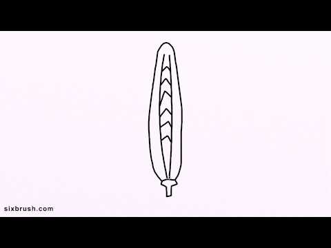 480x360 K How To Draw Oats For Kids Step - Oats Drawing