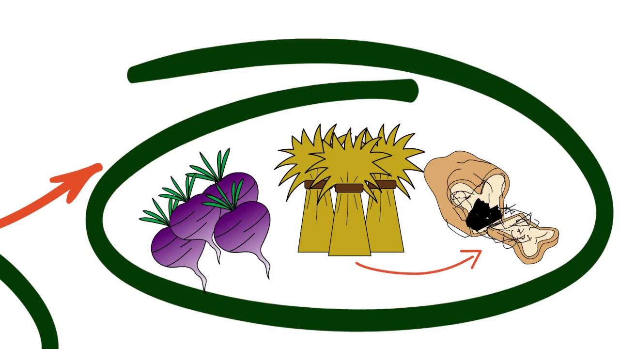 1280x720 drawing conclusions why are children fat - Obesity Drawing