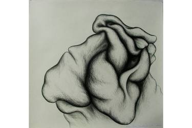 375x250 organic object drawing - Object Drawing