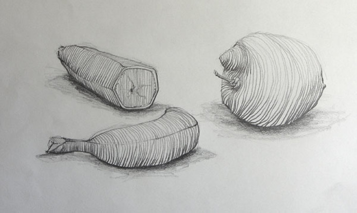 695x414 cross contour drawing - Objective Drawing