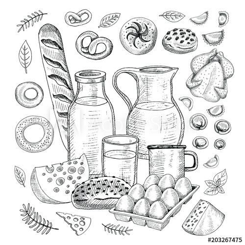 500x500 food objects drawing elements sketch milk bottle mug poultry hen - Objects Drawing