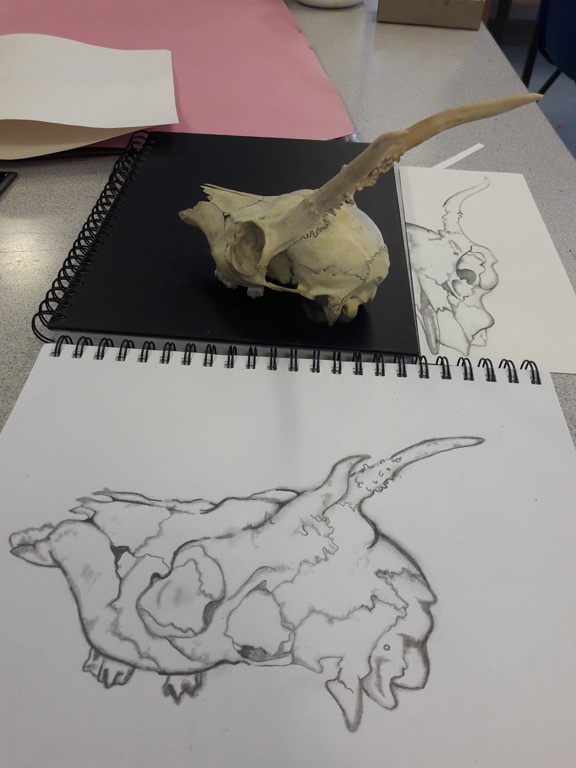 1920x2560 nikki skitz - Observational Drawing