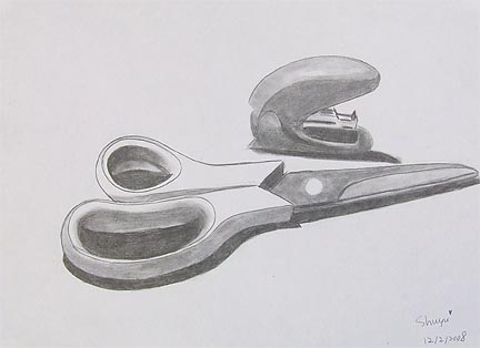 432x314 observational drawing - Observational Drawing