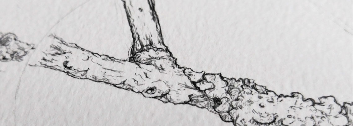 1139x409 observational drawing quay arts - Observational Drawing