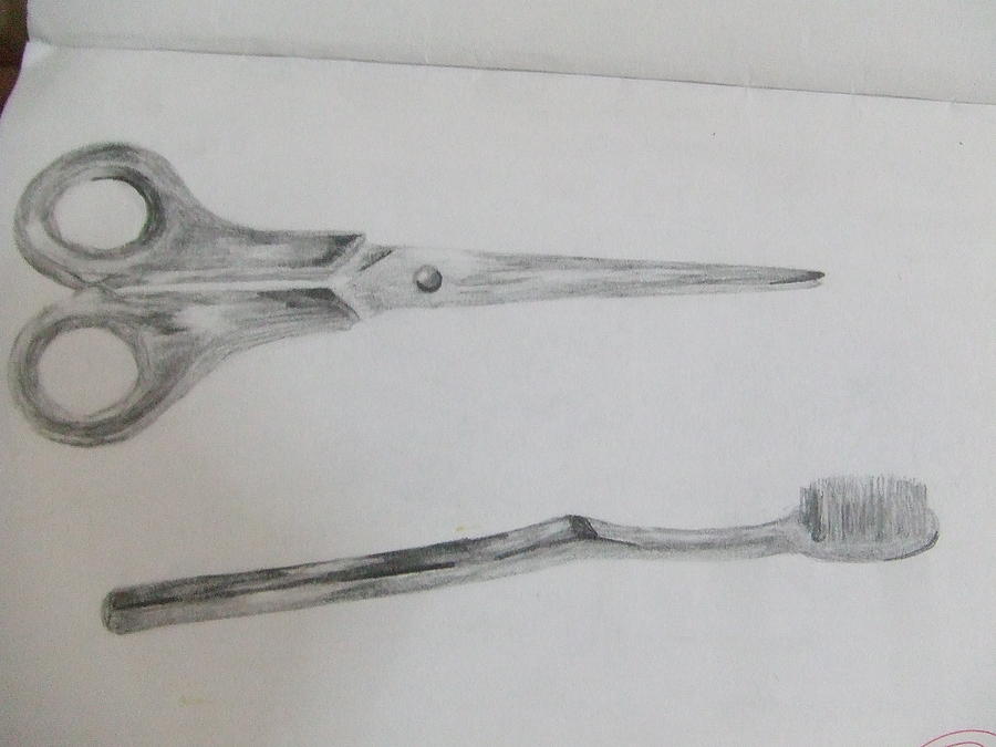 900x675 observational drawing drawing - Observational Drawing