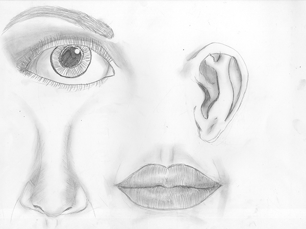 600x450 observational drawing on behance - Observational Drawing