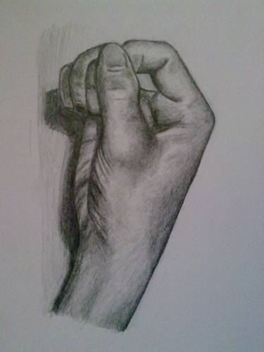 375x500 observational drawing drawing - Observational Drawing