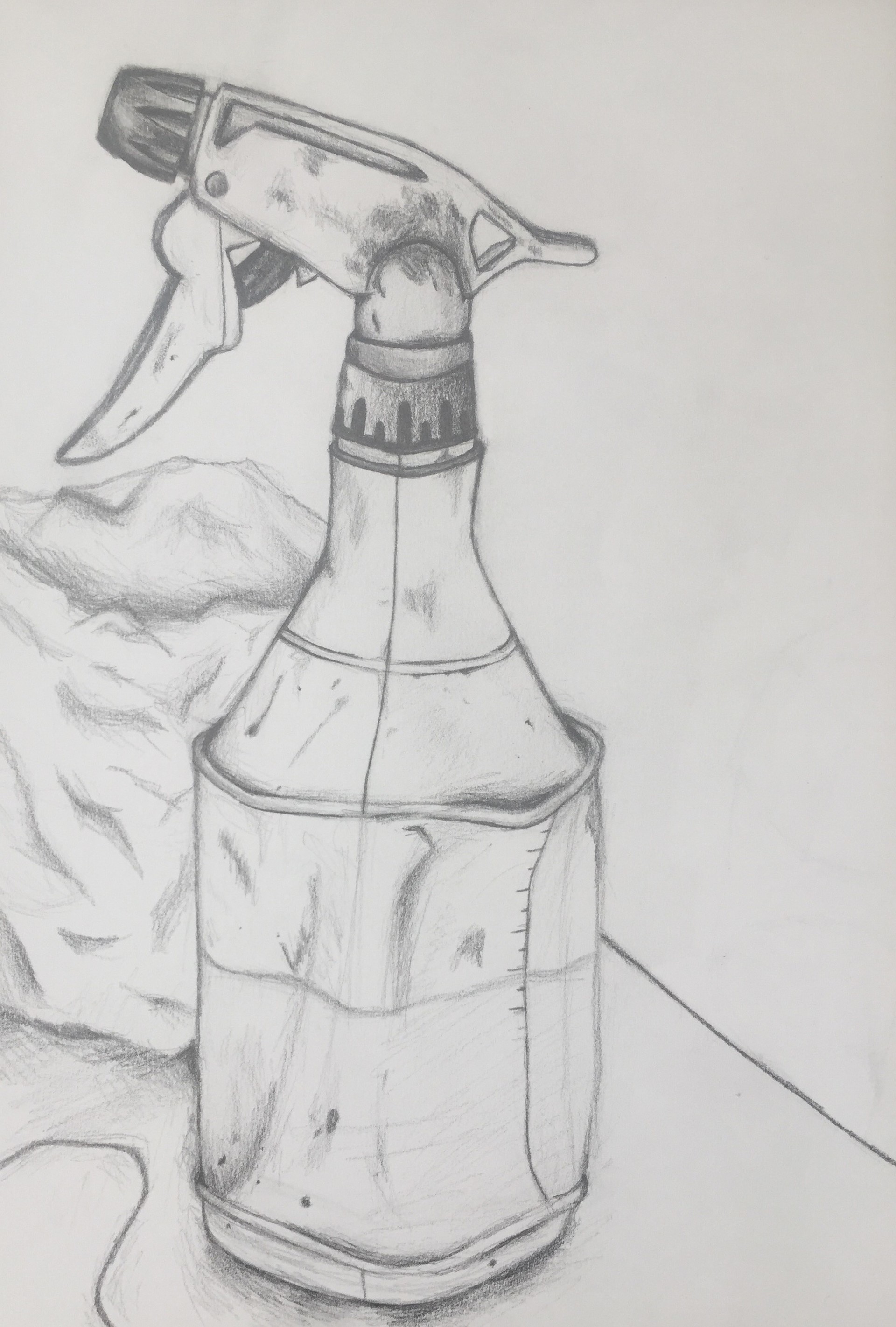 1920x2843 h - Observational Drawing