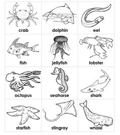 236x267 Best Sea Animals Drawings Images Doodles, Drawings, Easy Drawings - Ocean Animals Drawing