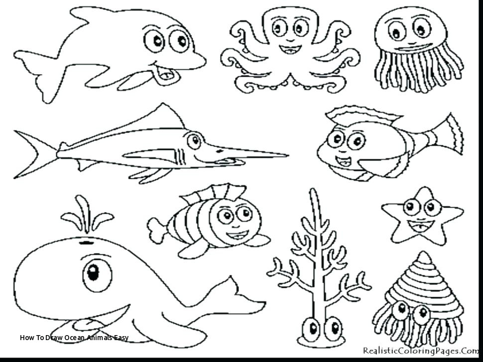 How To Draw Cartoon Sea Animals