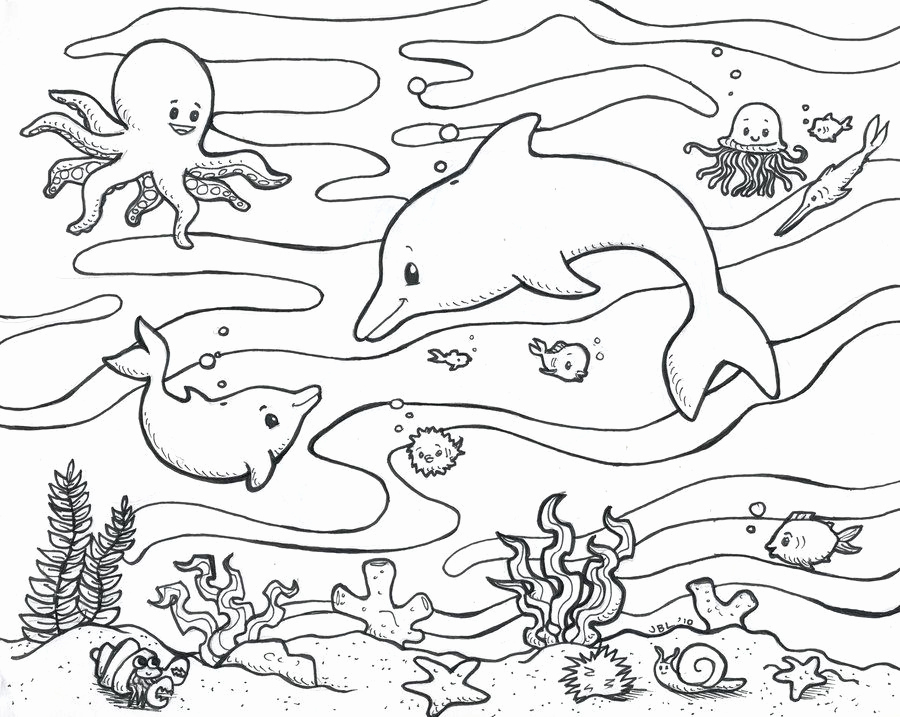 900x717 animal drawing coloring pages ocean animals coloring pages draw - Ocean Animals Drawing