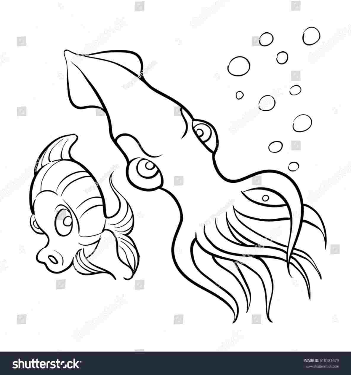 1185x1264 contest rhpxleyescom draw five how to ocean animals - Ocean Animals Drawing