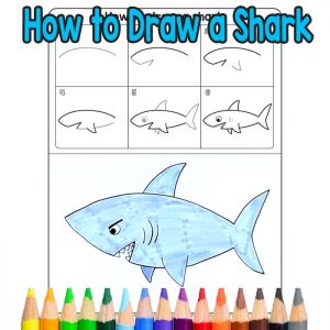 300x300 how to draw sea animals archives - Ocean Animals Drawing