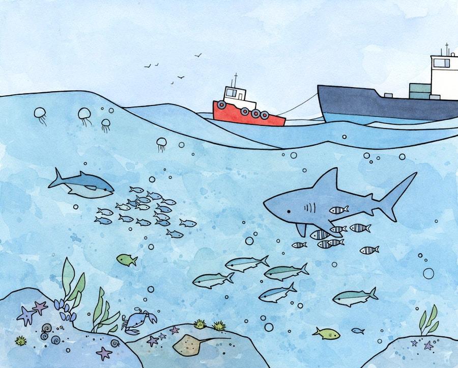 900x722 under the sea! underwater ocean illustrations - Ocean Cartoon Drawing