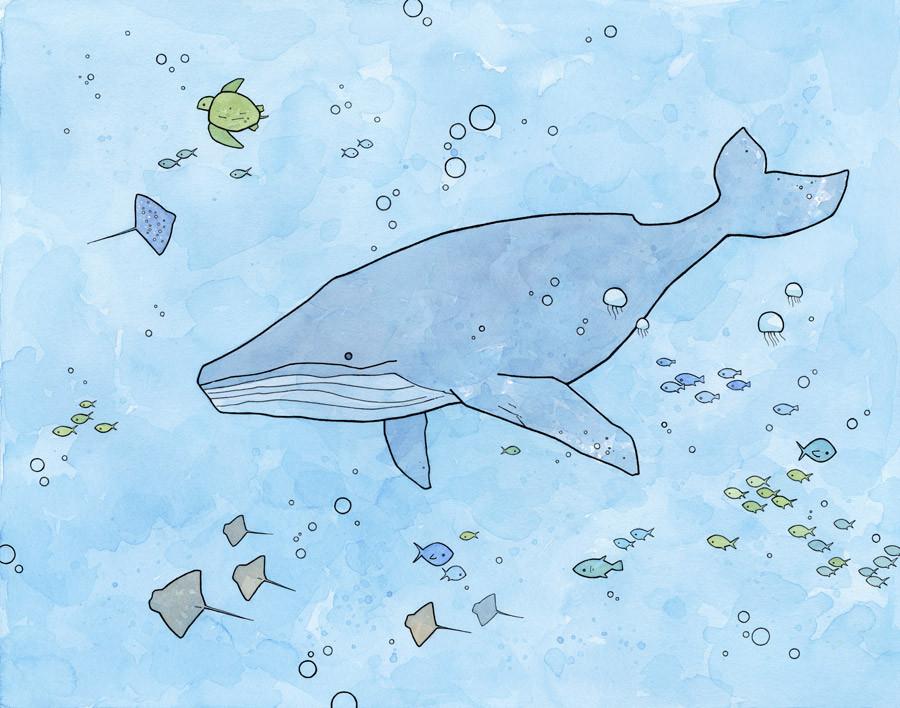 900x708 under the sea! underwater ocean illustrations - Ocean Drawing