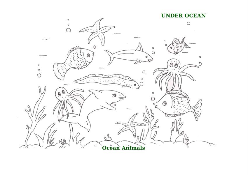 850x601 Ocean Animals Printable Coloring Pages For Kids - Ocean Drawing For Kids
