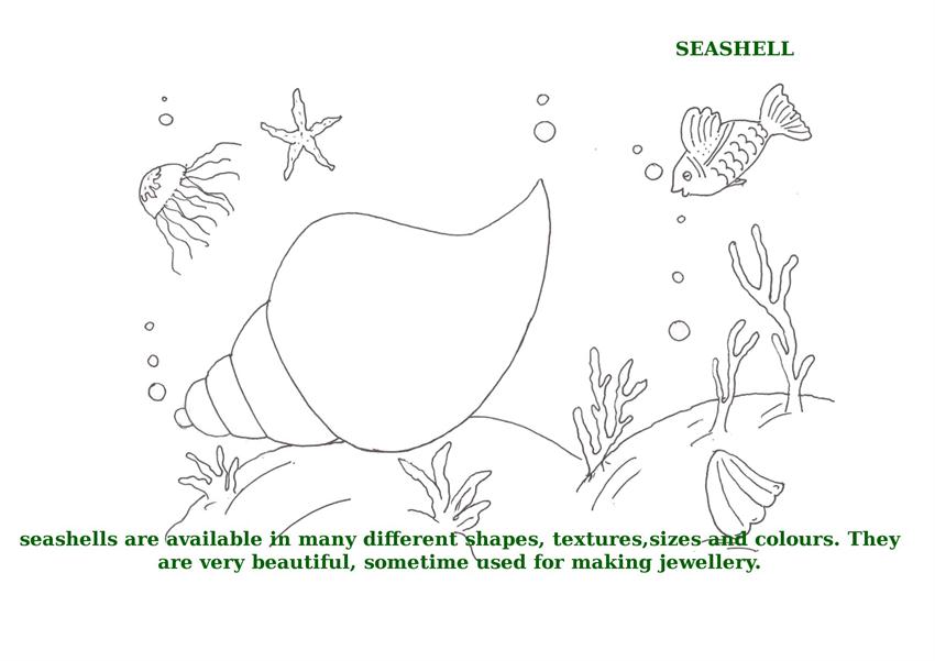 850x601 Ocean Animals Printable Coloring Pages For Kids - Ocean Drawing For Kids