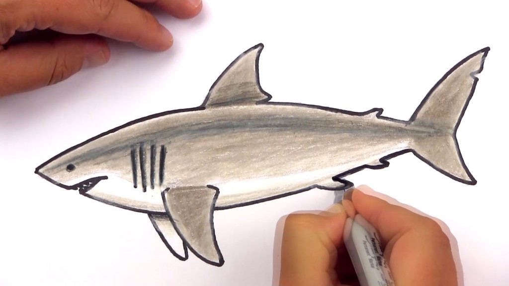 1024x575 ocean archives - Ocean Drawing For Kids