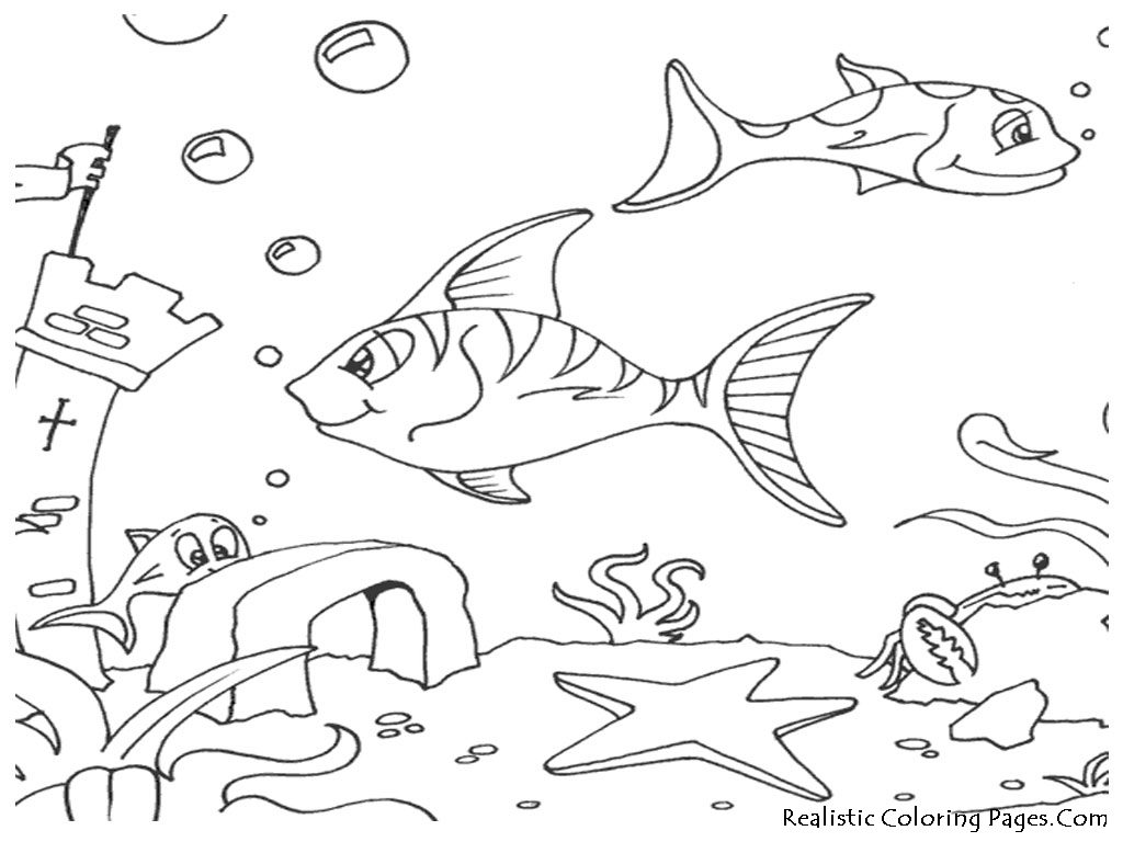 1024x768 Coloring Pages Ocean Life Coloring Pages Image Free Printable - Ocean Drawing For Kids