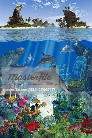 300x450 Dolphin And Fish Swimming Underwater In Ocean - Ocean Ecosystem Drawing