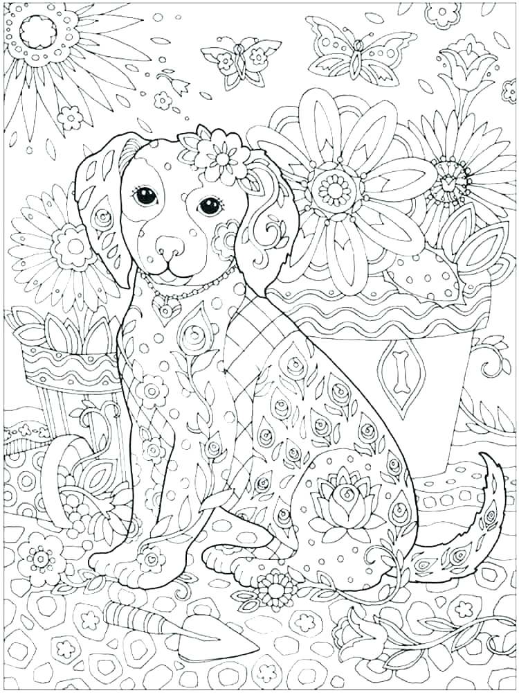 750x1000 ecosystem coloring pages coloring pages of animals in their - Ocean Ecosystem Drawing