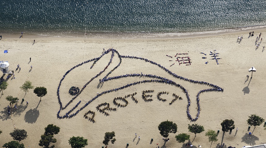 860x480 Kids Ocean Day Hong Kong - Ocean Ecosystem Drawing