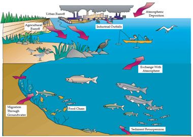 380x271 list of different types of ecosystem with example - Ocean Ecosystem Drawing
