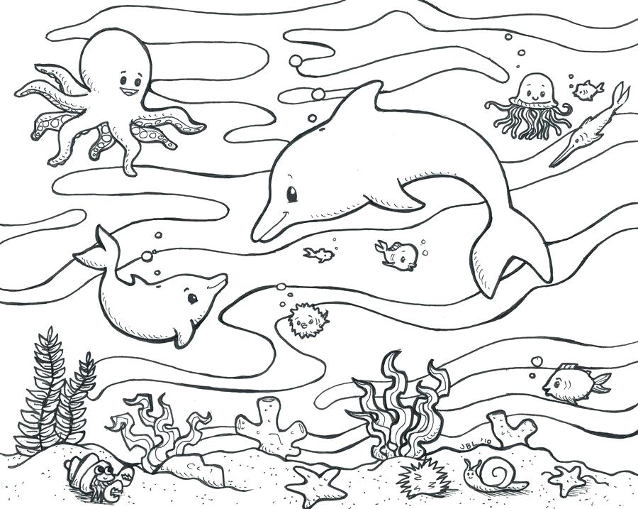 Ocean Ecosystem Drawing at PaintingValley.com | Explore collection of ...