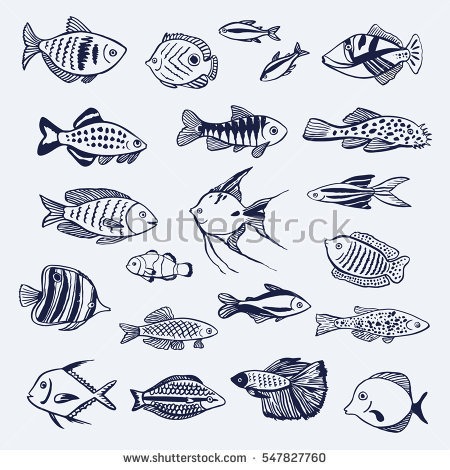 450x470 Fish In The Ocean Drawing - Ocean Fish Drawing