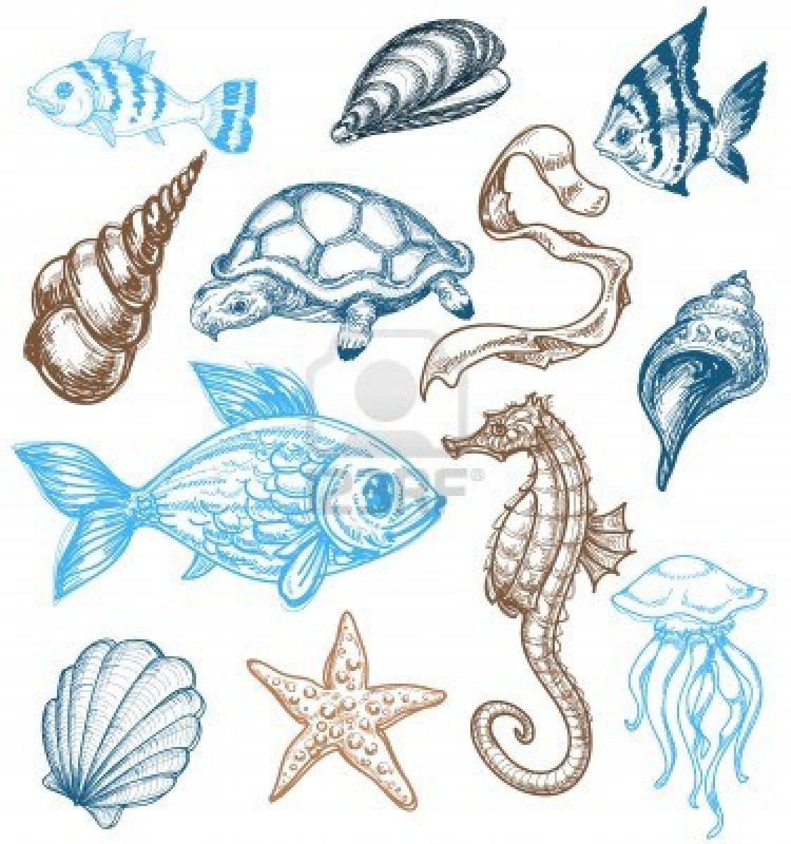 1125x1200 marine life drawing art sea creatures drawing, life drawing - Ocean Fish Drawing