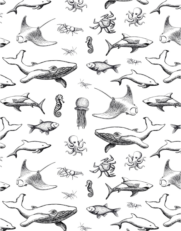 601x763 Ocean Fish Sanbao Studio - Ocean Fish Drawing