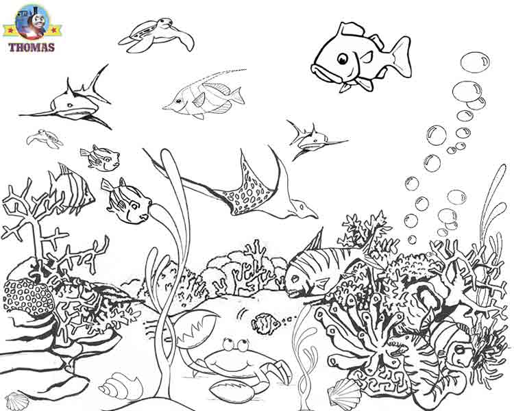 750x600 Sea Fish Coloring Pages Great Free Clipart, Silhouette, Coloring - Ocean Fish Drawing