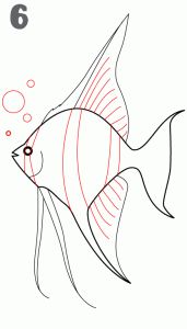 171x300 How To Draw An Angel Fish Also Several Other Step - Ocean Fish Drawing