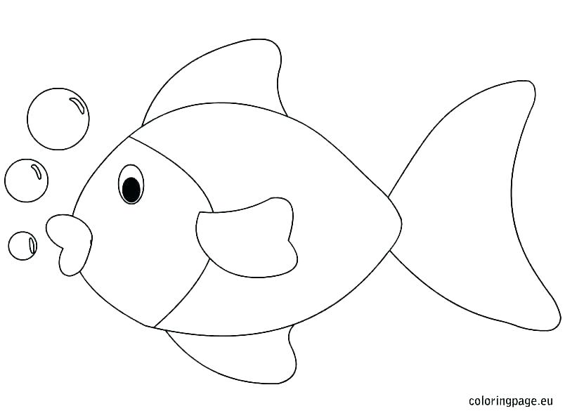 804x595 Fisherman Drawing Ocean Fish For Free Download - Ocean Fish Drawing