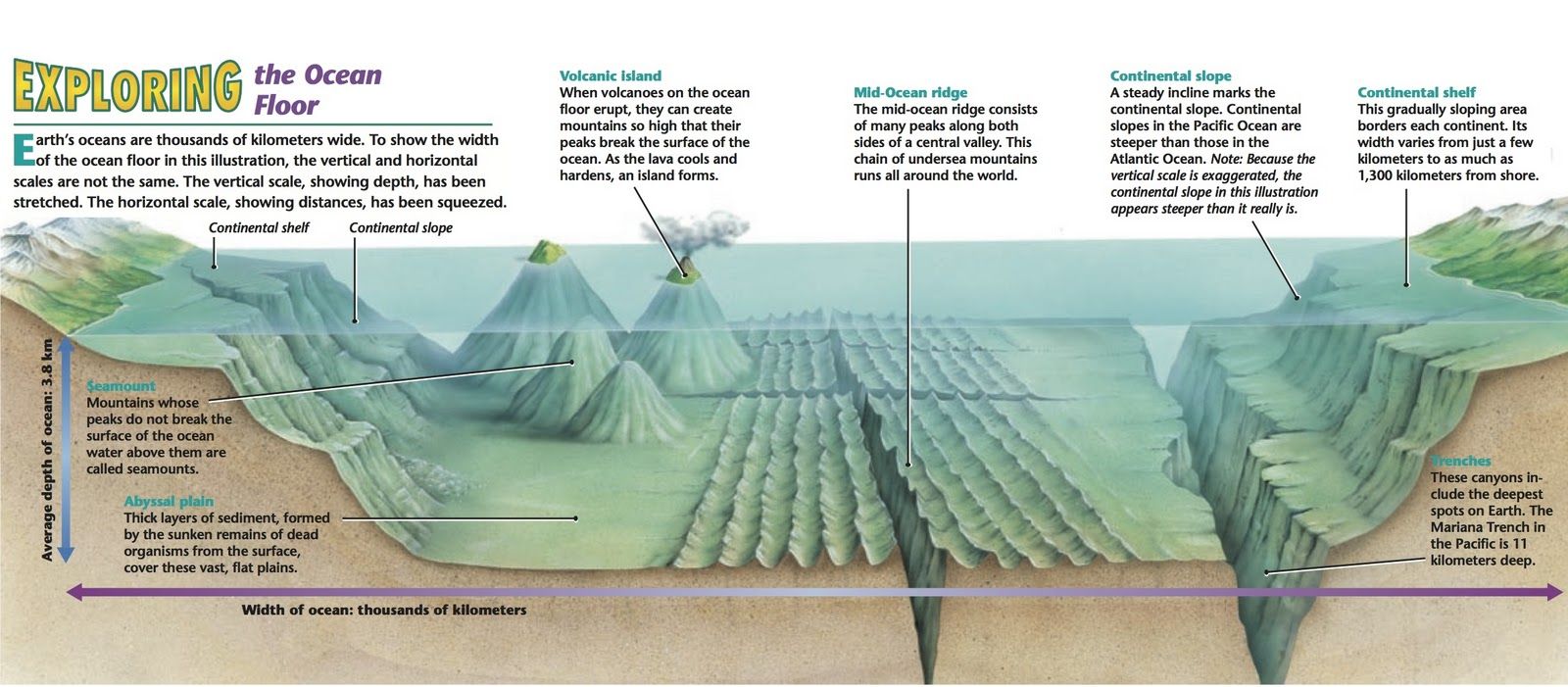 Ocean Floor Drawing At Paintingvalley Com Explore Collection Of