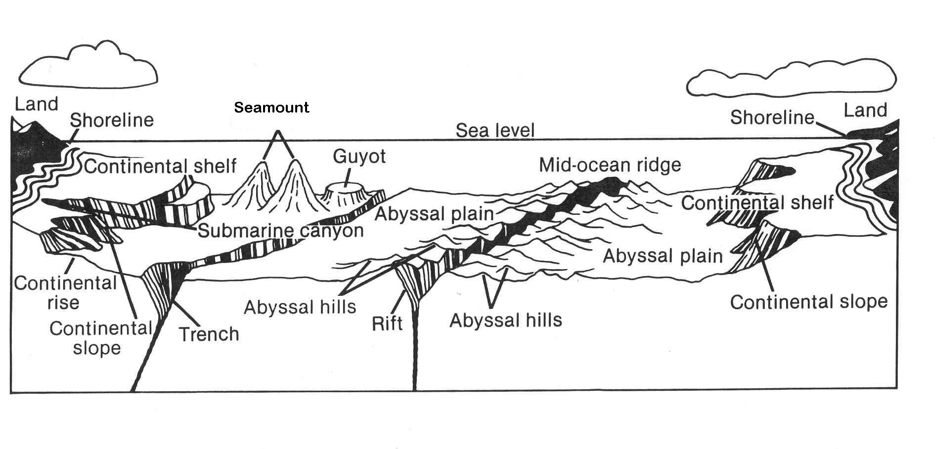1893x909 ocean floor diagram science science classroom, grade - Ocean Floor Drawing
