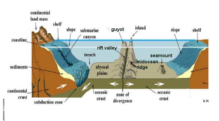 756x415 ocean floor lesson - Ocean Floor Drawing