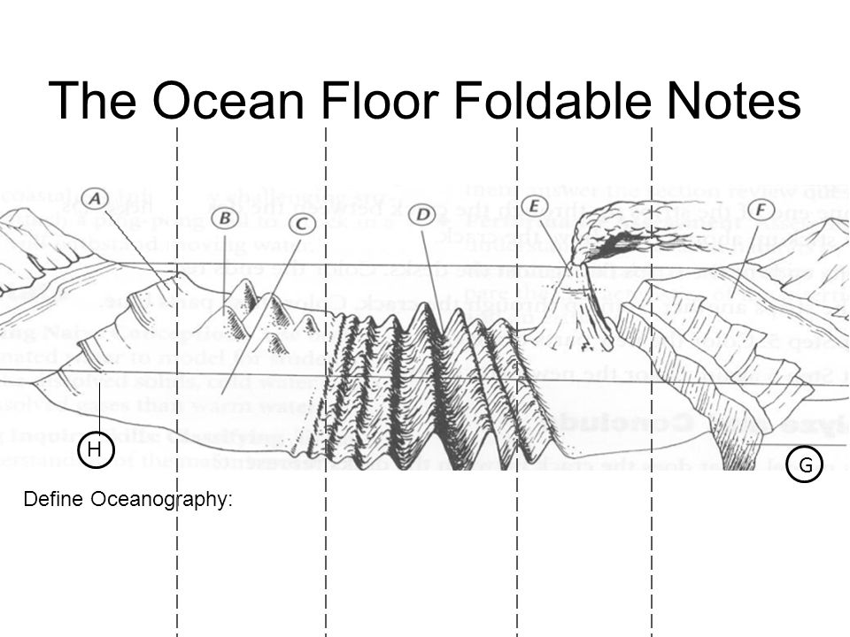 Ocean Floor Drawing at Explore collection of Ocean