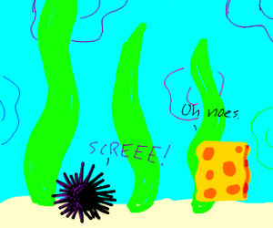 300x250 a sea urchin on the ocean floor drawing - Ocean Floor Drawing