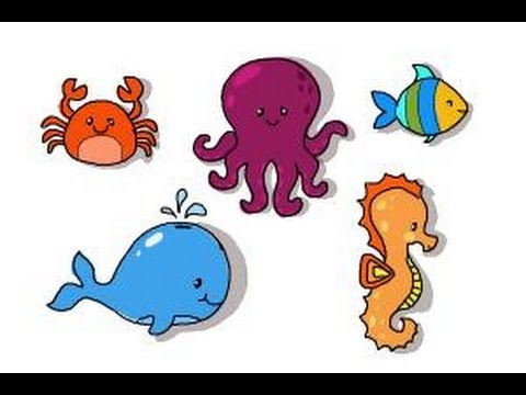 480x360 How To Draw Ocean Animals - Ocean Life Drawing