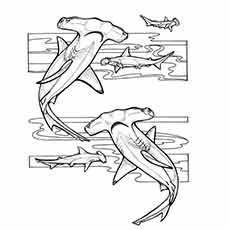 230x230 Best Free Printable Ocean Coloring Pages Online - Ocean Life Drawing