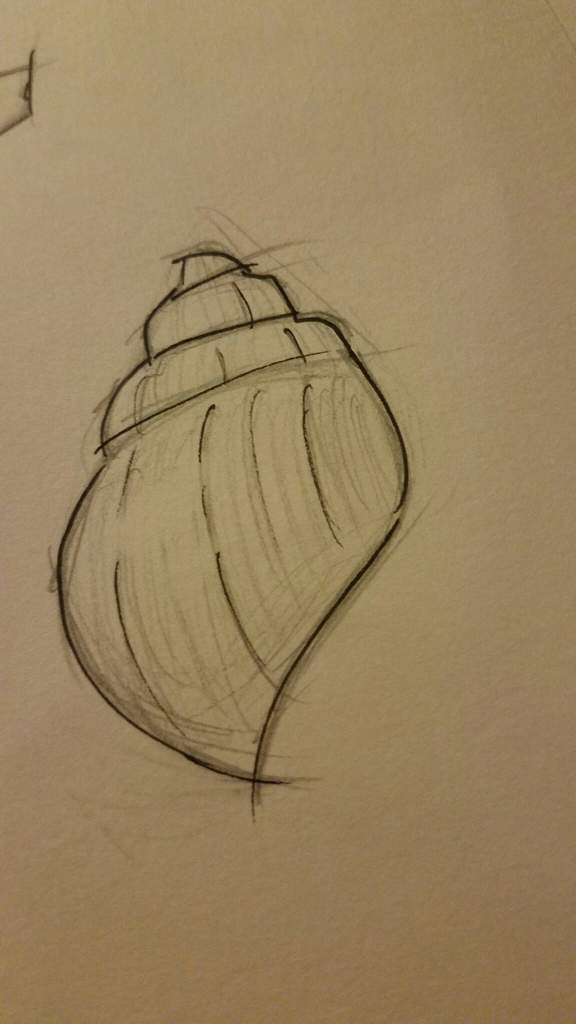 576x1024 Ocean Life Drawings Art Amino - Ocean Life Drawing