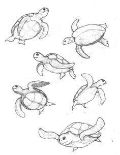 236x305 Best Sea Animals Drawings Images Doodles, Drawings, Easy Drawings - Ocean Life Drawing