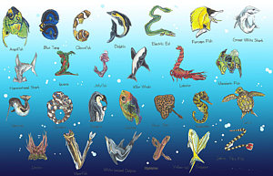 300x193 Sea Alphabet Drawing - Ocean Life Drawing