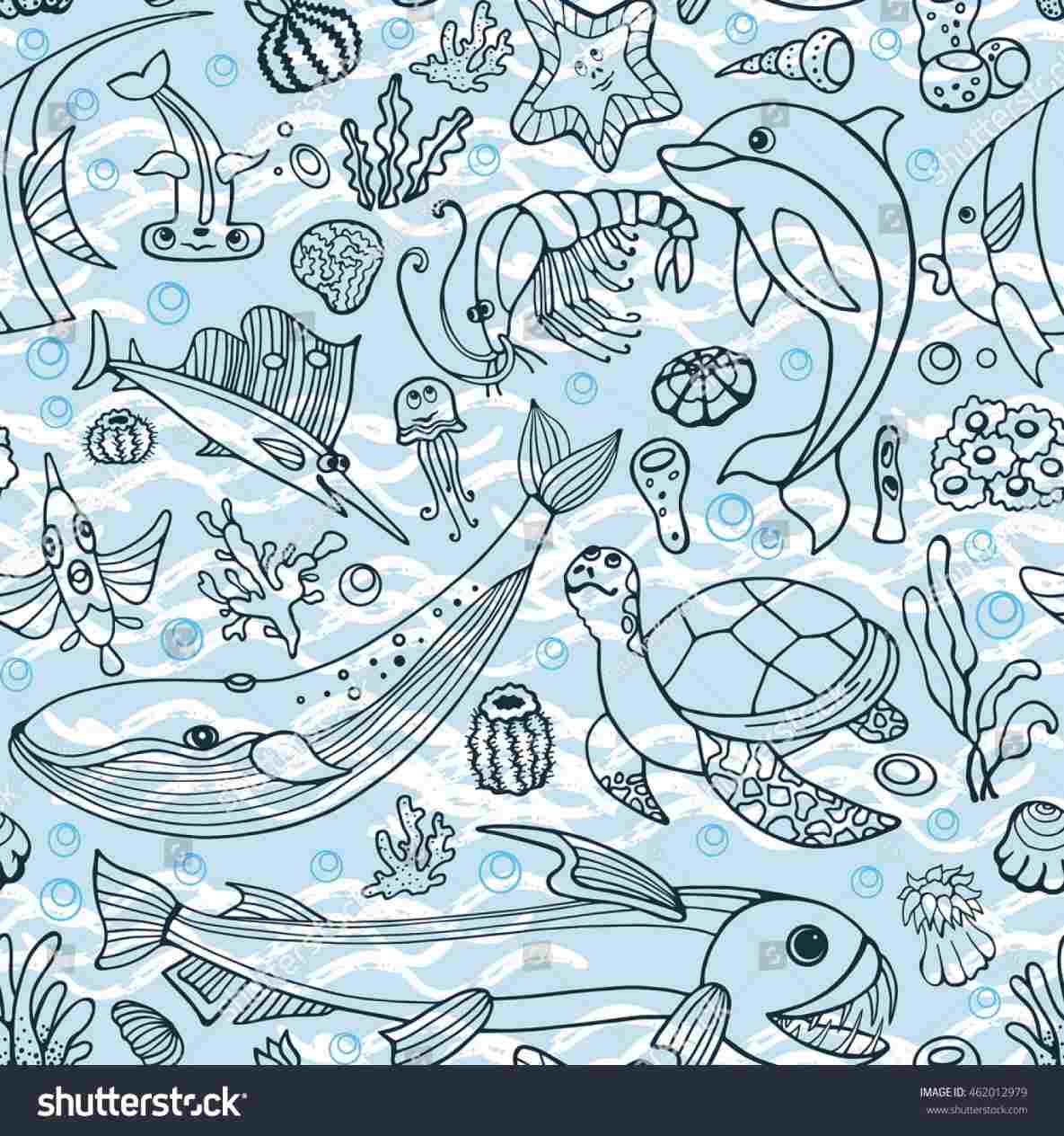 1185x1264 a sea turtle life drawing sublime time rhcom z - Ocean Life Drawing